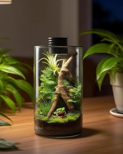 Desktop Glass Terrarium with Grow Light (9.8" H x 5.9" D) - for Succulents, Moss, Mini Gardens, Betta Fish Tanks, Mushroom Cultivation | Indoor Plant Growth | Office/Home Decor | Plant Lover Gifts - Image 3