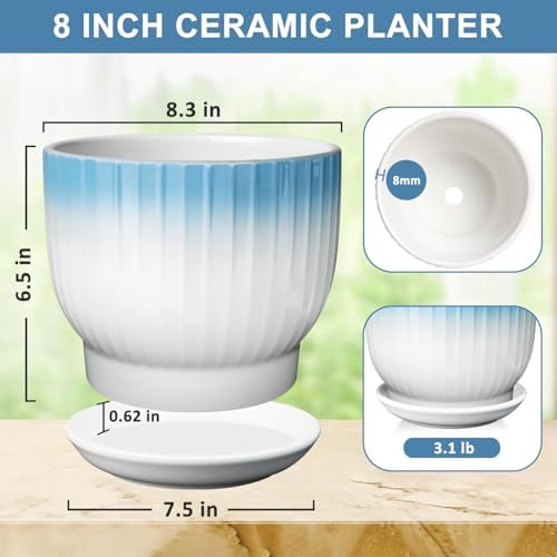 8 Inch Ceramic Plant Pot, Blue + White - Image 2