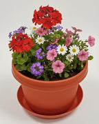Flower Pots with Saucers, 7 inch, Fire Orange Case of 5 - Image 5