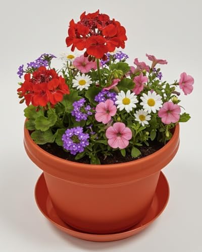 Flower Pots with Saucers, 7 inch, Fire Orange Case of 5 - Image 5