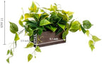 MyGift Artificial Pothos Plant in Burnt Brown Wood Rectangular Planter - Image 6