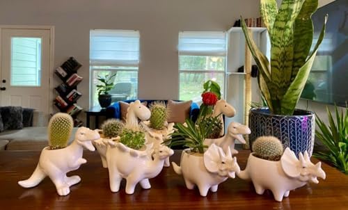 Ceramic Succulent Plant Pot Cactus Plant Pot Flower Pot Container Planter with Drainage Hole Home Office Desk Garden Gift Idea Animal Shaped Flower Pot Cute Vase Pot (4pcs Dinosaur) - Image 2