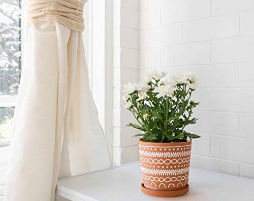 D'vine Dev 2-Pack Terracotta Pots, 4/6 in, Terra//White, 31-958-D-1 - Image 5