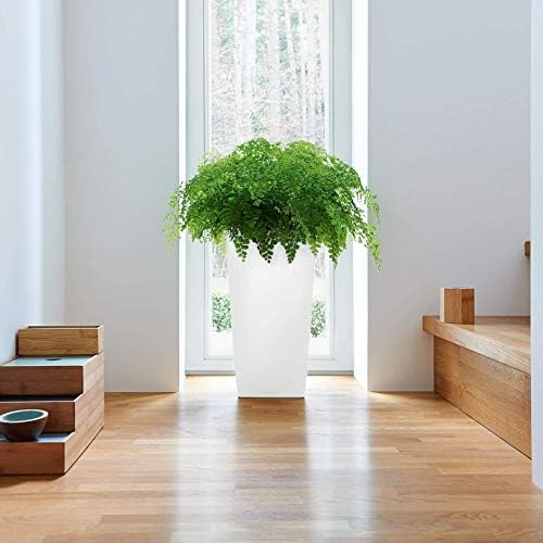 Lechuza CUBICO 22 Scarlet Red High Gloss, Self-Watering Tall Planter, H16.1 L8.7 W8.7 in - Image 3