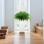 Lechuza CUBICO 22 Scarlet Red High Gloss, Self-Watering Tall Planter, H16.1 L8.7 W8.7 in - Image 3