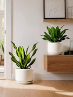 LE TAUCI Ceramic Plant Pots, Set of 2, 8+10 Inch, White - Image 5