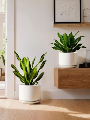 LE TAUCI 10 inch Plant Pot, Ceramic Pots for Plants, White - Image 6