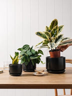 LE TAUCI Ceramic Pots for Plants, 4.3+5.3+6.8 Inch, Set of 3, Black - Image 5