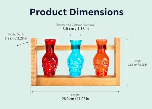 Plant Propagation Station with Skull Glass Vases, 3 Propagation Tubes in Wooden Stand, Hydroponic Decor for Home(Color4) - Image 2
