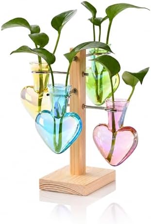 Nacome Plant Terrarium Propagation Stations: Colored Vase with Wooden Stand by Nacome