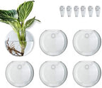 Wall Hanging Planter Propagation Station, Oblate Glass Flower Vase for Propagation, Wall Planter for Indoor Plants, Modern Home Office Corridor Bathroom Decor (6) by CHPINDAM