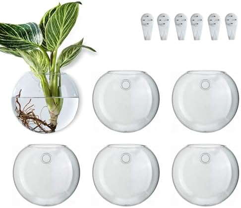 Wall Hanging Planter Propagation Station, Oblate Glass Flower Vase for Propagation, Wall Planter for Indoor Plants, Modern Home Office Corridor Bathroom Decor (6) by CHPINDAM