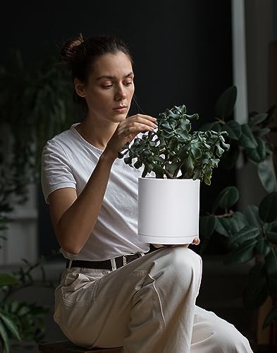 D'vine Dev 4-Pack White Plastic Planters with Saucers, 6.5 in, 74-Z-L-2 - Image 5