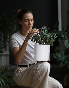 D'vine Dev 4-Pack White Plastic Planters with Saucers, 6.5 in, 74-Z-L-2 - Image 5