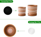 D'vine Dev 2-Pack Terracotta Pots, 4/6 in, Terra//White, 31-958-D-1 - Image 4