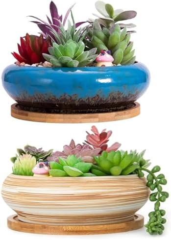 ARTKETTY Succulent Pots - 2 PCS Ceramic Bonsai Pots with Drainage Tray, 7.3 Inch Large Plant Pots Shallow Succulent Planters for Indoor Plants Decorative Cactus Flower Planter Bowl by ARTKETTY