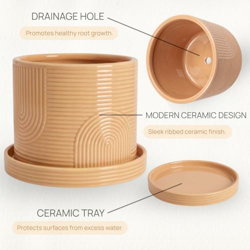 6 Inch Ceramic Plant Pot with Drainage Hole & Tray – Buttercream - Image 5