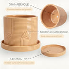 6 Inch Ceramic Plant Pot with Drainage Hole & Tray – Buttercream - Image 5