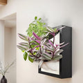 Wall Garden 4 Vertical Wall Planter, 4 Pots Wood Frame Self Watering Living Planter for Home Office Decor, Wall-Mounted Planter for Indoor Houseplants (Black) by AwesomePlant