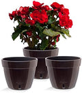 Santino AST 7.9 Inch Self Watering Planter Black-Gold/Black - Set of 3 for Indoor Plants - Premium Quality Plastic Pot with Water Level Indicator for All House Herbs, African Violets and Dahlias by Smart+Planters