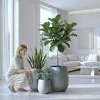DTY Premium Mt Wilson Tall Tapered Fiberstone Planter for Indoor Outdoor Use, Modern Large Olive Tree Pot with Drainage Hole, Includes 2 Coco Mats. Gray, Medium 15'' D x 16.7” H. 11.2” Pot Opening - Image 7