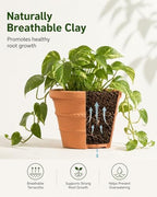 2 Pack 8 Inch Terracotta Pots for Plants, Rope Pattern with Drainage Hole - Image 3
