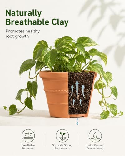 2 Pack 8 Inch Terracotta Pots for Plants, Rope Pattern with Drainage Hole - Image 3