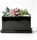 8 Inch Rectangular Ceramic Plant Pot, Window Box, Glazed Black by Unknown