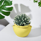 6.3 Inch African Violet Pots, Yellow Self Watering Pot for Indoor Plants, Ceramic Easy Plant Self Watering Pot for Thriving Plant Flower Maintenance - Image 6