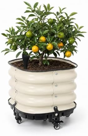 Aoodor 16.5x16.5 Rolling Raised Garden Bed, Self Watering Planter Box by Aoodor