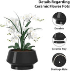 8.3 Inch Black Ceramic Planter with Drainage Hole and Saucer - Image 3