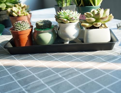VUWEZ 6 Pack Plastic Plant Trays - Rectangular 14 inch, Indoor/Outdoor Plant Saucers with Drip Protection, Perfect for Windowsill or Planters (6.8 x 14.5'', Black) - Image 3