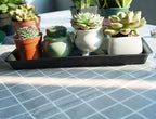 VUWEZ 4 Pack of Plastic Plant Tray Saucer Rectangular 17 18 inch, Planter Trays Saucers for Indoors Outdoor, Plant Water Drip Trays for Flower Pot Planter, Windowsill Plants Tray (7.8 X 17.5'', Black) - Image 3