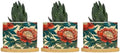 Chinoiserie Coral Peony Floral Ceramic Planter Floral Botanical Painting Planters for Indoor Plants with Drainage Holes and Saucers Pot for Indoor Outdoor Garden by BRUYU5SE