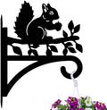 peacoblue Squirrel Plant Hanger Bracket, Iron Outdoor Hanging Hook by PEACOBLUE