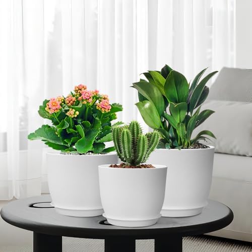WSMKSZ 12/10/9 inch Large Plant Pots, 3 Pack Modern Decorative Plastic Planters with Drainage Holes and Saucers, Flower Pots for Indoor Outdoor Plants, White - Image 7