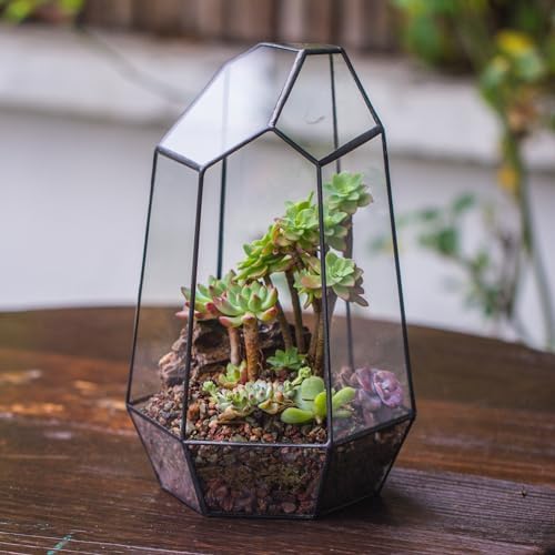 NCYP No Door Geometric Glass Terrarium Planter for Small Succulent, Small Cacti, Black Irregular Opened Terrarium Pot, Indoor Home Garden Office Tabletop Decor, 6.5" x 5.7" x 9.8" (No Plants) - Image 4