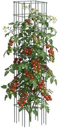 Vego Garden Tomato Cage 16.5" Square Heavy-Duty for Garden & Pots, Rust-Resistant Tomato Stackable Heavy Gauge Plant Cage Trellis Support for Climbing Vegetables Plants by Unknown