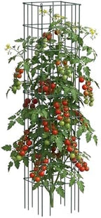 Vego Garden Tomato Cage 16.5" Square Heavy-Duty for Garden & Pots, Rust-Resistant Tomato Stackable Heavy Gauge Plant Cage Trellis Support for Climbing Vegetables Plants by Unknown