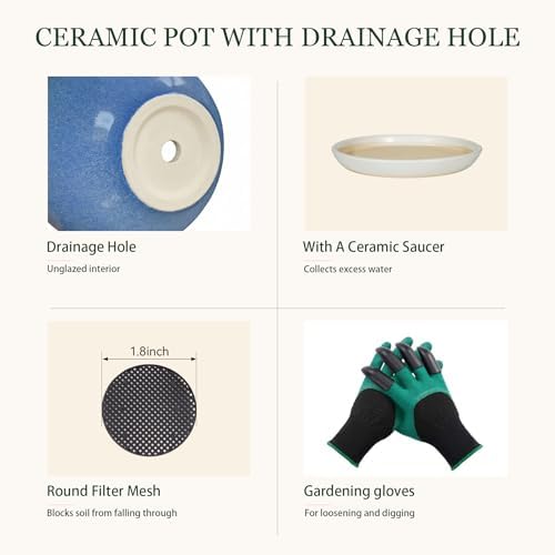 10.6 Inch Modern Ceramic Plant Pot with Drainage Hole and Mesh Net, Indoor Outdoor Planter with Saucer & Gardening Glove, Pots for Succulents, Flowers, Large Plants, Blue - Image 4