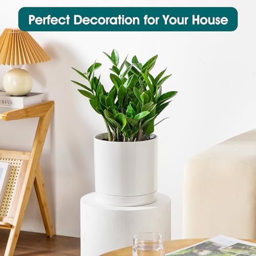 vancasso Ceramic Plant Pots, 8.25 Inch Ceramic Pot for Plants, Planters Pots for Indoor Plants with Drainage Holes, Flower Pot for Indoor House Plant, White - Image 5
