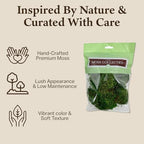Mood Moss, Preserved Moss, Green, Medium 2-Pack - Image 3