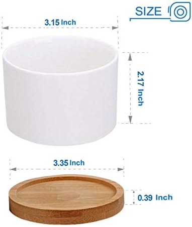 ZOUTOG Succulent Pots, White Mini 3.15 inch Ceramic Flower Planter Pot with Bamboo Tray, 6 inch Ceramic Planters for Indoor Plants, Plants Not Included - Image 5