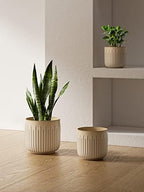 LE TAUCI Ceramic Pots for Plants, 8.3/7/6 Inch Indoor Planters with Drainage Holes & Mesh, Modern Glossy Glaze Cylinder Fluted Plant Pot for Snake Plant, Set of 3, Sand Beige - Image 4