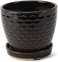 Ceramic Planter with Trellis Pattern and Attached Saucer, 5" (Black) by Napco