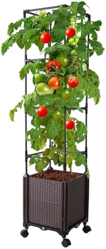 Raised Garden Bed with Tomato Cage & Trellis, 56" Self-Watering Tomato Planter Box for Vegetables Flowers | Lockable Wheels, Vertical Gardening | Indoor Outdoor Patio Use, Easy Assembly by Antmoilios