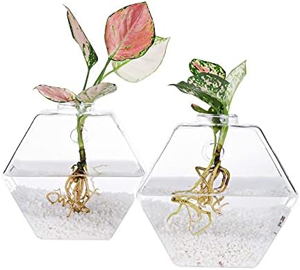 Kingbuy Wall Hanging Planter Glass Propagation Terrarium 3 Hexagon Shape and 4 Egg Shape Flower Vase for Home Office Christmas Decor - Image 3