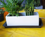 VUWEZ 6 Pack Plastic Plant Trays - Rectangular 14 inch, Indoor/Outdoor Plant Saucers with Drip Protection, Perfect for Windowsill or Planters (6.8 x 14.5'', Black) - Image 6