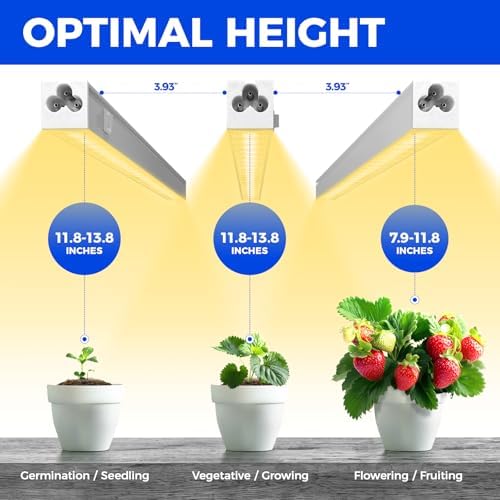Barrina Grow Lights for Indoor Plant, Full Spectrum, T5 1FT Yellow, 4 Packs - Image 5