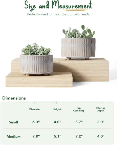LE TAUCI Succulent Pots, 6.5+8 Inch Ceramic Indoor Plant Pot with Drainage Hole, Shallow Round Succulent Planters, Set of 2, Reactive Glaze Star White - Image 3